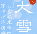 大雪节气唯美雪景超清图片素材 v1.6