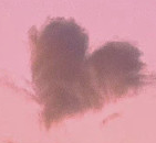 适合发朋友圈的感恩节文案素材 v1.5