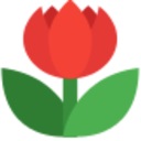 图图水印助手 v1.0.0.9