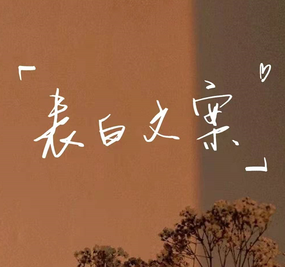 情人节表白文案素材 v1.6