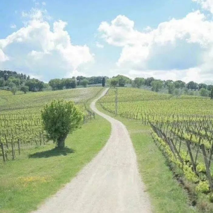 微信农场背景图素材 v1.7