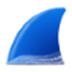 Wireshark抓包分析工具 v3.6.9