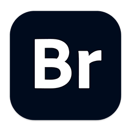 Adobe Bridge 2022 v12.0.2.256