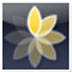 Express Animate v7.28