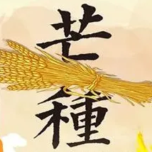 芒种节气手抄报图片素材 v1.6