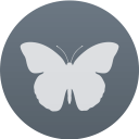 QMMP免费中文版 v2.1.5