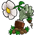 植物大战僵尸年度版 v1.2.0.1079