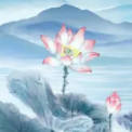 描写夏天的诗句素材 v1.9
