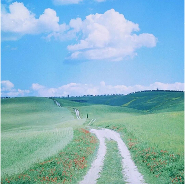 描写夏天的好词好句素材 v1.5