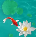 描写夏至节气的经典诗句素材 v1.6