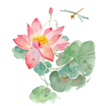 夏至节气PPT课件模板免费素材 v1.4