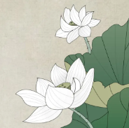 夏至节气高清图片素材 v1.9