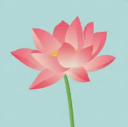 唯美夏至文案短句素材 v1.9
