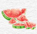 夏至节气精美PPT模板素材 v1.6
