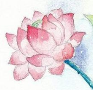 关于七月的唯美诗句素材 v1.4
