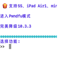 Dkdown降级工具 v1.2.9