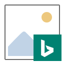 BingSnap v3.4