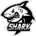 Shark上号器 v1.2