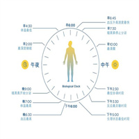 人体生物节律速查器软件2023 v2.9