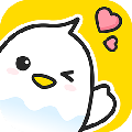 不鸽直播助手 v1.6.9