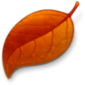 秋落叶时间同步器 v2.8