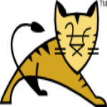 Tomcat v11.0.1