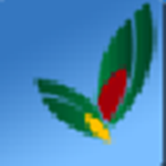 易达车辆运输财务结算管理 v32.0.8