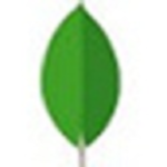 MongoDB v4.0.6