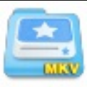 枫叶MKV视频转换器 v11.8.8.2