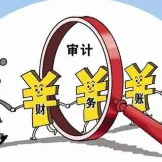 学通审计实务要点从入门到精通课 v1.35