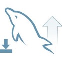 MySQL8 v1.1