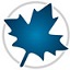 Maple v最新v1.0