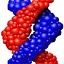 dnastar v7.1