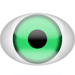 LEELA围棋 v11.1