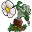 PVZ原版英文版游戏 v1.0
