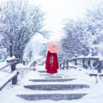 58款古风雪景绝美视频素材 v1.26