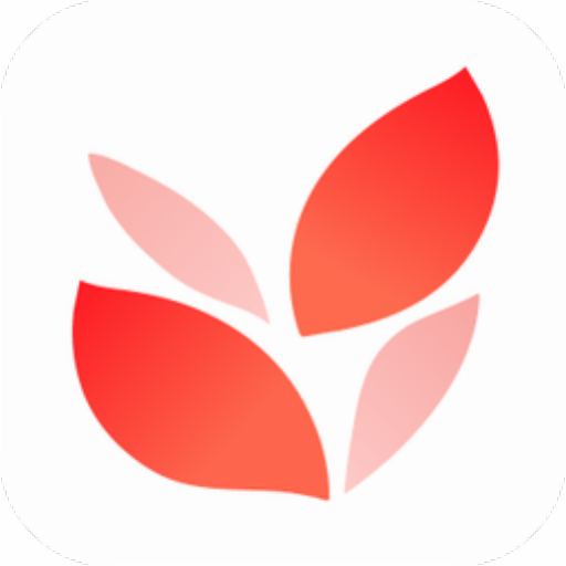小满壁纸 v1.1.2.0