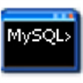 MySQLServer V5.8