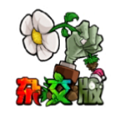 2.3.7植物大战僵尸杂交版 v2.3.9