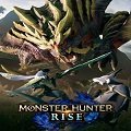 怪物猎人崛起血条显示mod v1.2