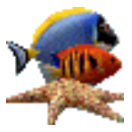 热带鱼水族箱屏保 v3.4
