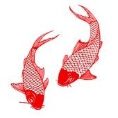 连年有余记账助手 v1.3.3.303