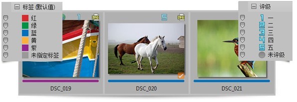 ACDSee官方免费版 ACDSee官方免费版