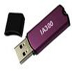 ia300客户端安全组件 v4.3 官方正式版