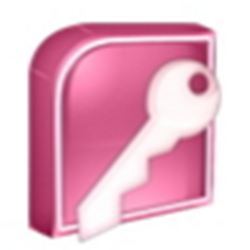 Microsoft Office access 2003 简体中文绿色版