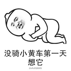 小黄车我们走表情包 高清无水印版
