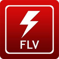 FLV Media Player(FLV播放器) v2.01 绿色版