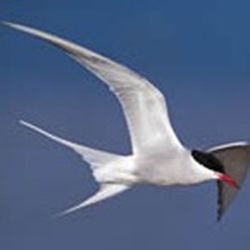 愤怒的邮递员(邮件群发经常用的软件) v1.0.5.8 官方绿色版