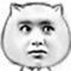 尼坤猥琐猫表情包 最新版