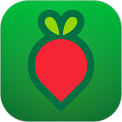 叮咚买菜电脑版 v9.49.2 官方正式版